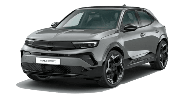Mokka GSE