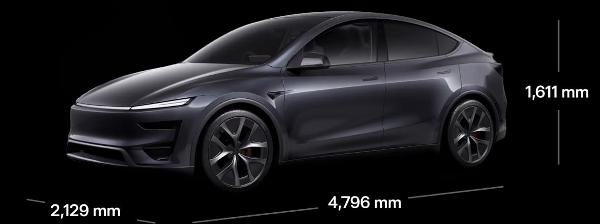Model Y