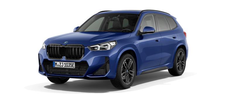 X1 xDrive25e