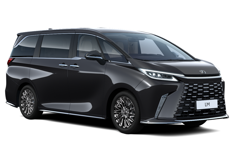 LM Hybrid