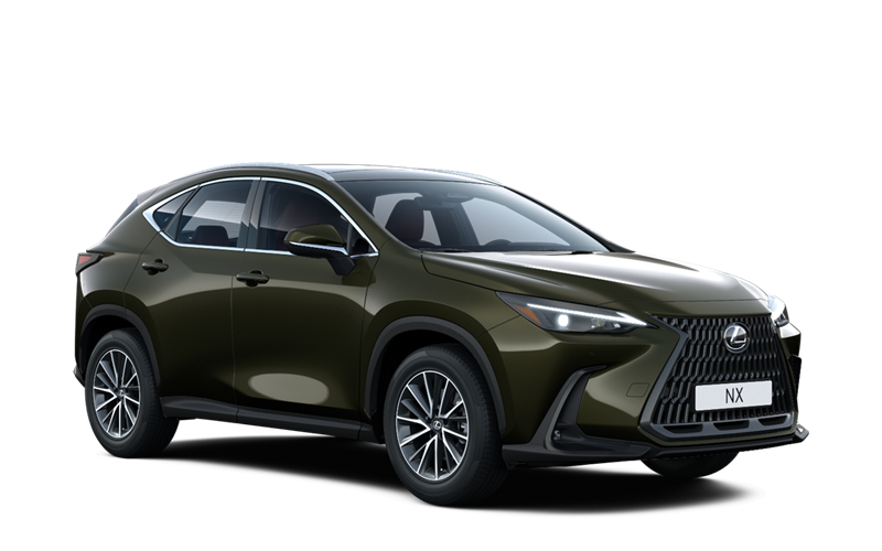 NX Hybrid
