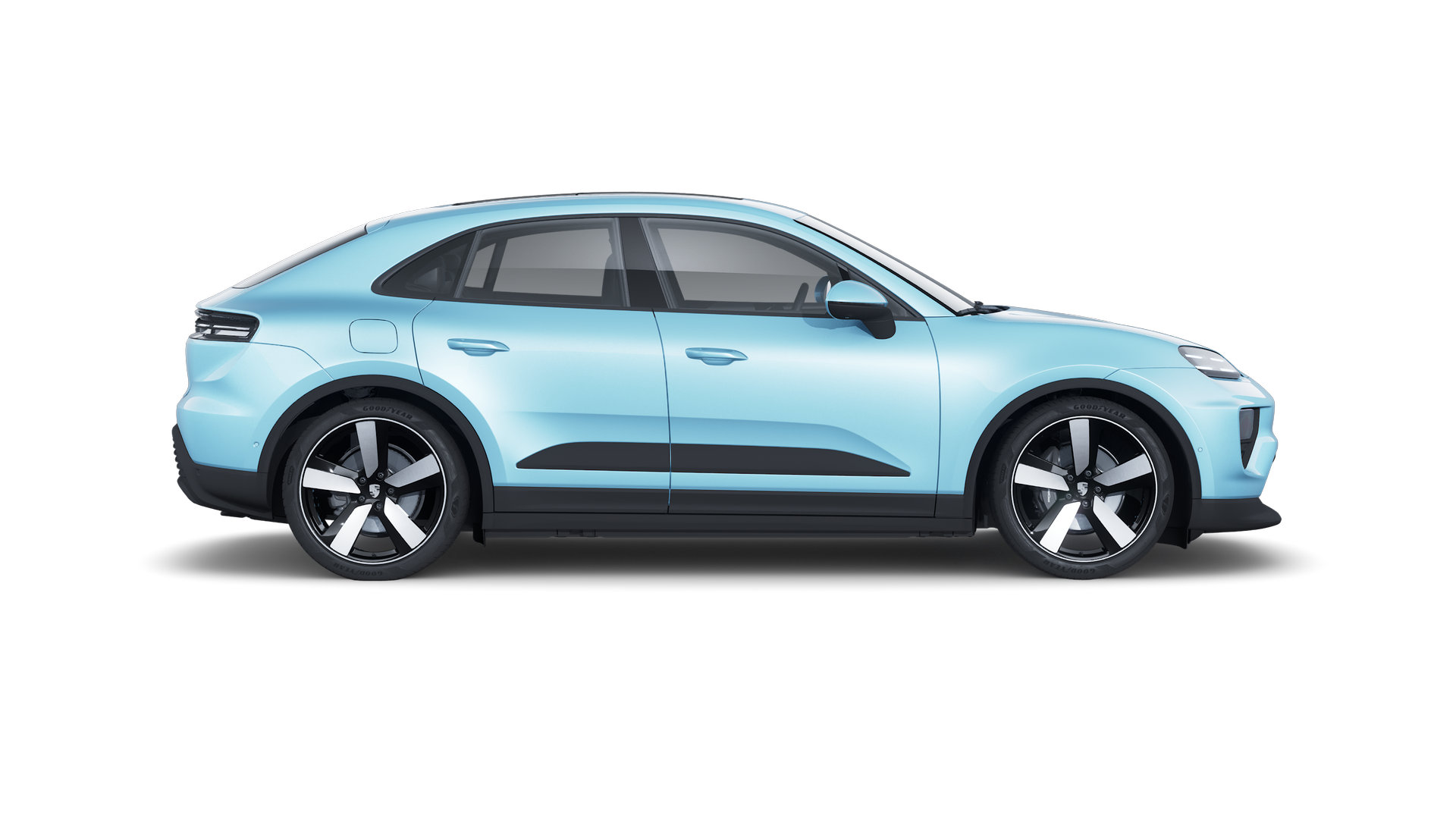 Macan